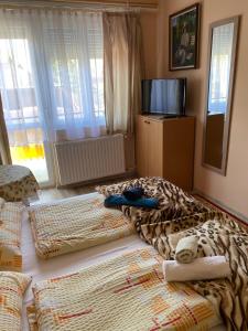 Postel nebo postele na pokoji v ubytování Károly Vendégház