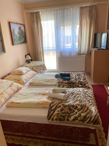 Postel nebo postele na pokoji v ubytování Károly Vendégház