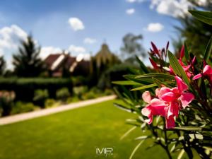 a close up of a pink flower in a garden at Hotel Szent István in Eger