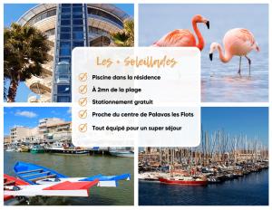 eine Collage mit Fotos eines Yachthafens mit Flamingos und Booten in der Unterkunft Le Soleillades - Plage, piscine, parking! in Palavas-les-Flots