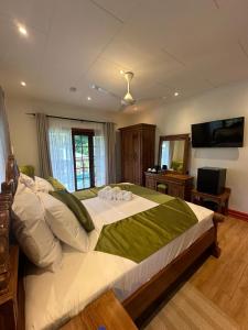 a bedroom with a large bed and a television at Benjamine's Guesthouse in La Digue