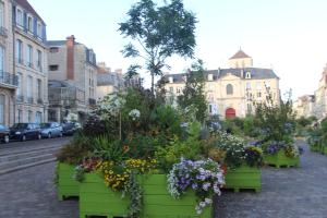 Une bande de fleurs dans des récipients verts dans une rue dans l'établissement Appartement Proche Hippodrome, à Caen