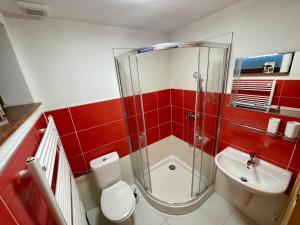een badkamer met een douche, een toilet en een wastafel bij Penzion Pohádka in Železná Ruda