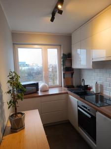 a kitchen with a potted plant and a window at Apartament Jawornicka 7 / Grunwald in Poznań