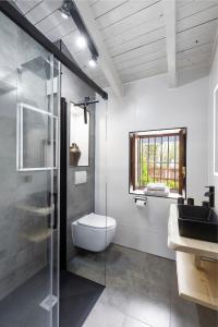 uma casa de banho com um WC e uma cabina de duche em vidro. em Casa Uva española em Villanueva de la Concepción