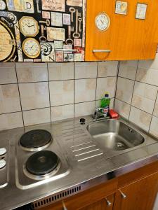 a kitchen with a sink and a counter top at Apartmani Jović 2 in Mali Lošinj