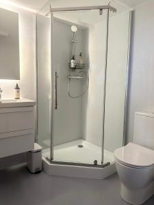 a glass shower in a bathroom with a toilet at Stylish Studio Kronstadt in Braşov