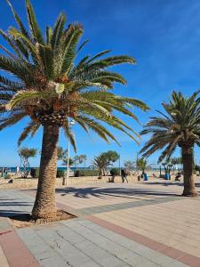 two palm trees on a sidewalk near the beach at Apartamento VI-DA SOL in Puerto de Sagunto