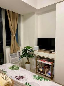 Dormitorio con cama, TV y planta en Bellescapes - Azure Resort (1 BR with Balcony), en Manila
