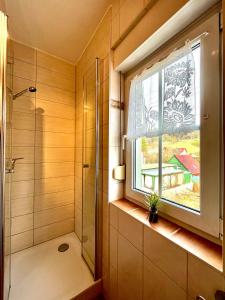 een badkamer met een douche en een raam bij JS Feriendomizile: Fewo Hirschwechsel in Wernigerode