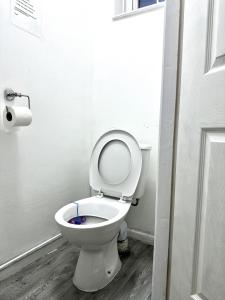 a bathroom with a toilet with a blue object in it at Comfy Room in Nottingham in Nottingham