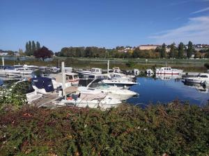 a bunch of boats are docked in a marina at Mobil Home 3 chambres in Biesheim