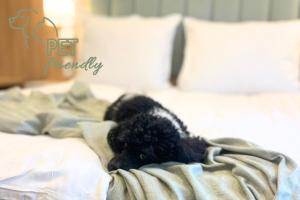 um cão preto deitado em cima de uma cama em Hotel Awo em Gniezno