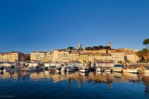 un grupo de barcos atracados en un puerto con edificios en CANNES STUDIO - 4 personnes, en Cannes