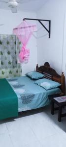 亭可馬里的住宿－KANTHI GUEST INN，一间卧室配有一张粉红色的蚊帐