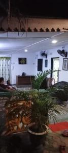 a living room with a potted plant in the middle at KANTHI GUEST INN in Trincomalee