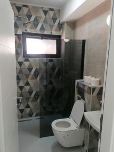 Brdo的住宿－Vila Plava Zlatar，一间带卫生间和水槽的浴室