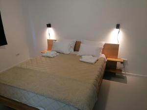 a bedroom with a bed with two pillows at Vila Plava Zlatar in Brdo