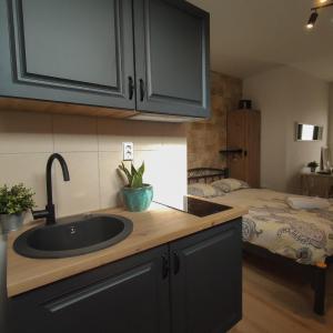 Kuchyň nebo kuchyňský kout v ubytování Studio apartment with sea view