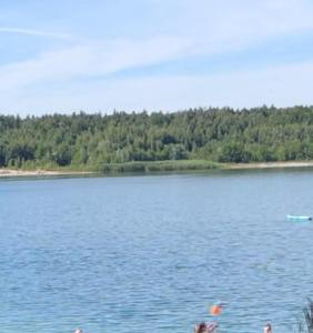 un gruppo di persone in riva al lago di Zacisze 6 osobowy Domek nad jeziorem a Świętne