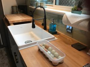 a kitchen sink with a tray of eggs in it at Big Red Cactus - Austin Accommodations in Austin