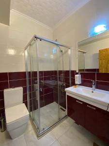 a bathroom with a shower and a toilet and a sink at Galata Moon Hotel in Istanbul