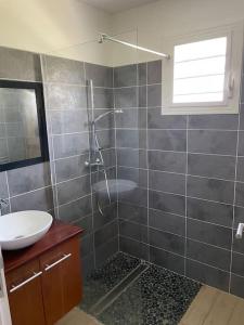 La salle de bains est pourvue d'une douche et d'un lavabo. dans l'établissement Villa Fusains, à Baie-Mahault