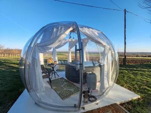 a clear iguana tent with a table in a field at Buby - végtelenbe és tovább in Szigetvár