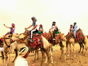 a group of people riding on the backs of camels at Pyramids MAGIC INN in Cairo