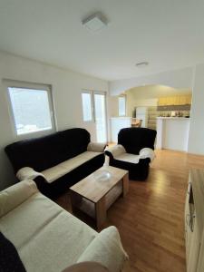 a living room with two couches and a coffee table at Apartman Ognjenović in Pluzine