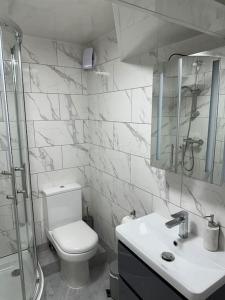 a bathroom with a toilet and a sink and a shower at Central entire studio apartment in London