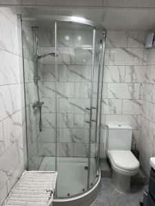 a bathroom with a shower and a toilet at Central entire studio apartment in London
