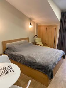 a bedroom with a bed and a table and a chair at Bakuriani inn Apartment in Bakuriani +16 photos