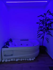 Habitación púrpura con bañera y maceta en Green room z opcją jacuzzi en Katowice