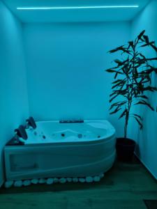 łazienka z niebieską oświetloną wanną i rośliną w obiekcie Green room z opcją jacuzzi w mieście Katowice