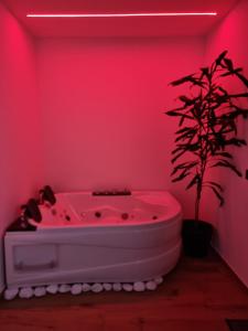 różowa łazienka z wanną i doniczką w obiekcie Green room z opcją jacuzzi w mieście Katowice