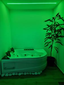 zieloną łazienkę z wanną i rośliną w obiekcie Green room z opcją jacuzzi w mieście Katowice