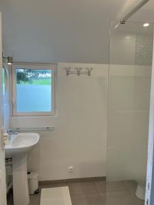 BlaruにあるLa petite campagneのバスルーム(洗面台、ガラス張りのシャワー付)