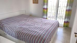 Легло или легла в стая в Calanuza
