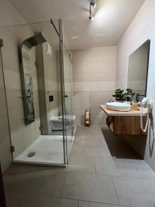 y baño con ducha, lavabo y aseo. en Baobab Suites en Siófok