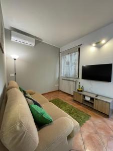 Una sala de estar con un sofá y un televisor de pantalla plana. en Appartamento Da.Flo, en Gallarate