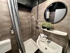 a bathroom with a shower and a sink and a mirror at a-partment • Köln - Schokoladenmuseum in Cologne