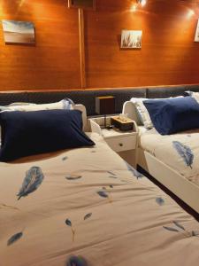 1 dormitorio con 2 camas con plumas azules en las sábanas en Gîte Le Sambre, en Thuin