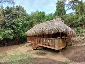 Cabaña pequeña con techo de paja en Casa Sol Y Sombra en Santa Marta