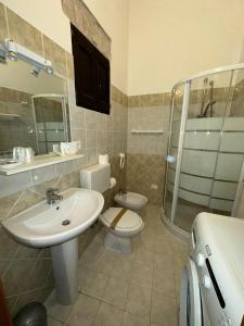 a bathroom with a sink and a toilet and a shower at B&B PALAZZO SASSATELLI in Cascia