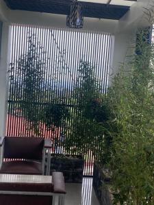 un patio con un banco y algunas plantas en The Pyramid Apart, en Kigali