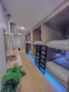 バンコクにあるRatchadadome hostelの二段ベッド3組と鉢植えの植物が備わる部屋