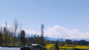 a view of a field with trees and houses at Valley Guest House Pahalgam in Kolur