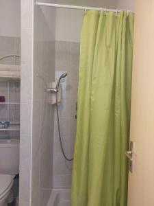 La salle de bains est pourvue d'une douche avec rideau de douche vert. dans l'établissement La Fontaine - Chambres d'Hôtes, à Olette