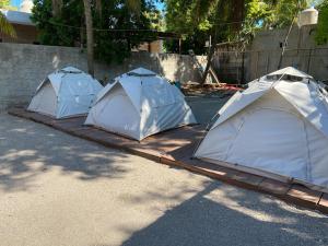 Naktsmītnes Aventura Maya Hostel Y Camping - Holbox pilsētā Holboksa fotogalerijas attēls